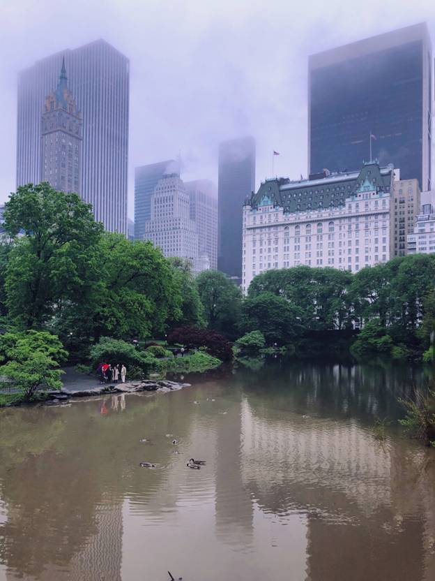 CentralPark2018051910